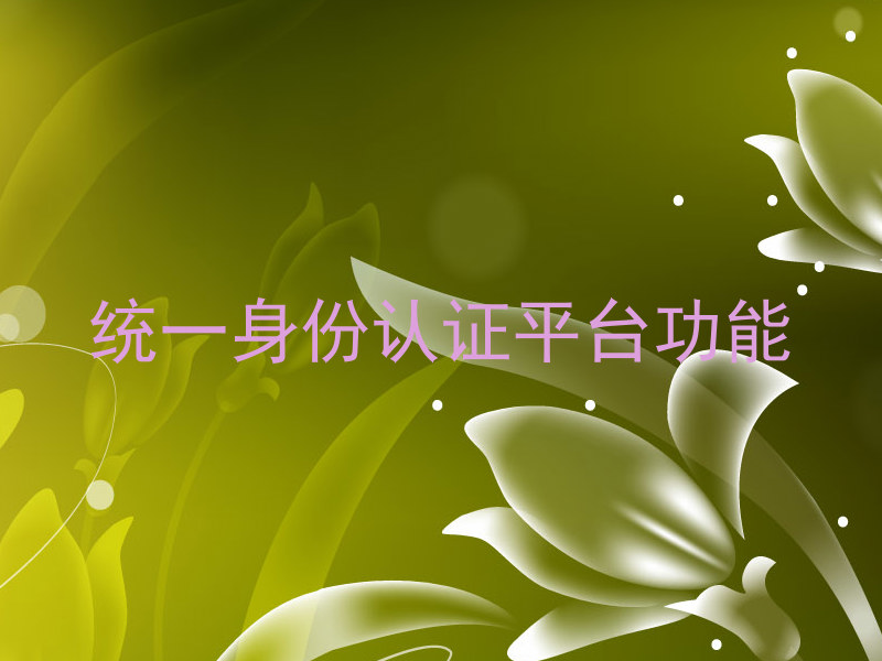 统一身份认证平台功能