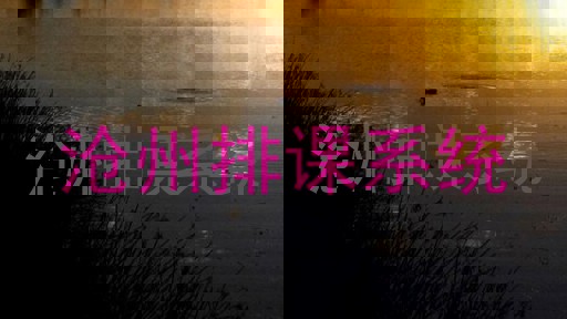 沧州排课系统