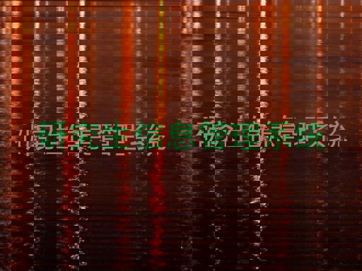 研究生信息管理系统