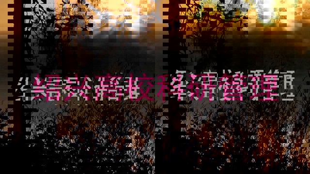 绍兴高校科研管理