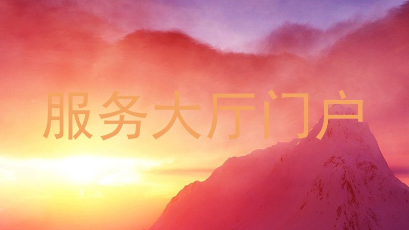 服务大厅门户