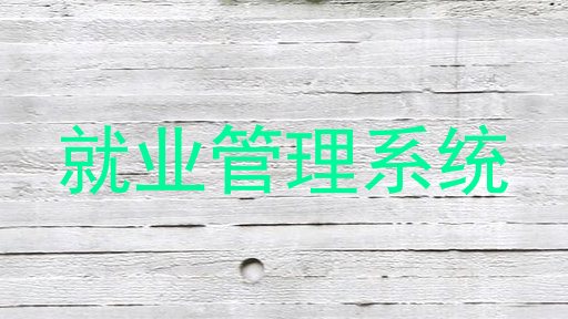 就业管理系统