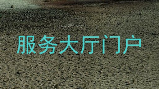 服务大厅门户
