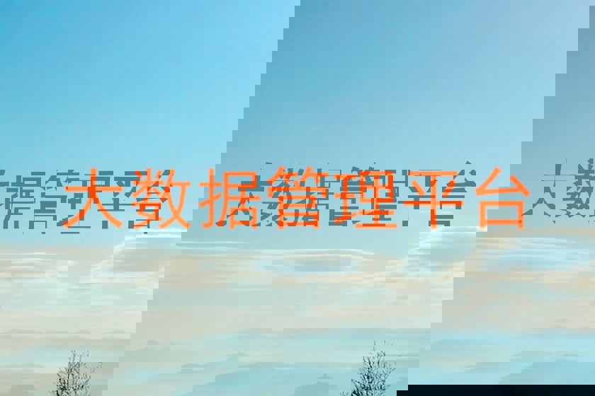 大数据管理平台