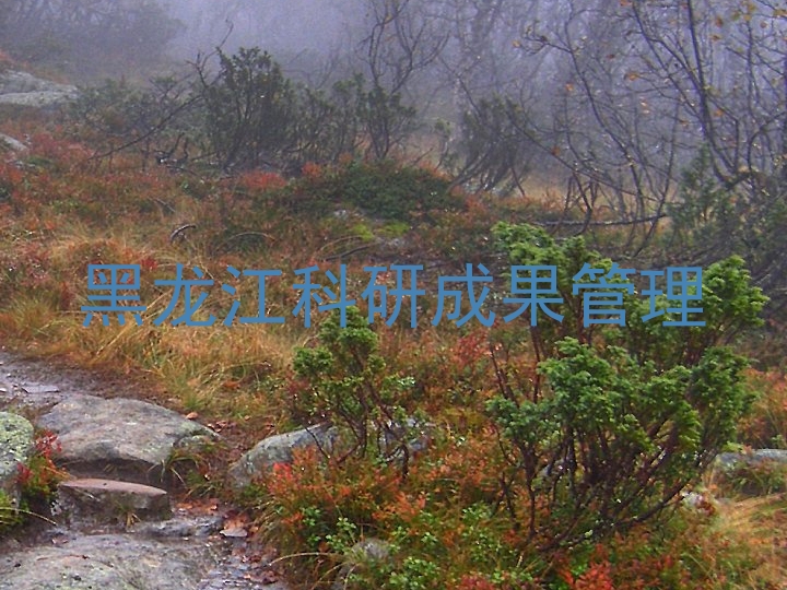 黑龙江科研成果管理