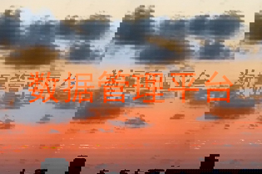 数据管理平台