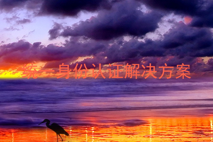 统一身份认证解决方案