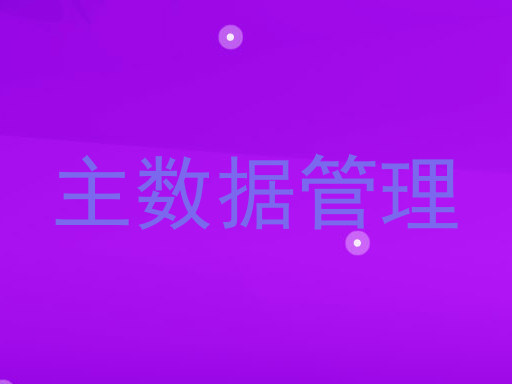 主数据管理