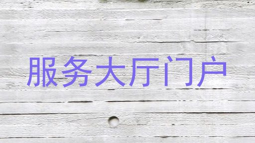 服务大厅门户