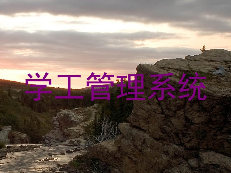 学工管理系统