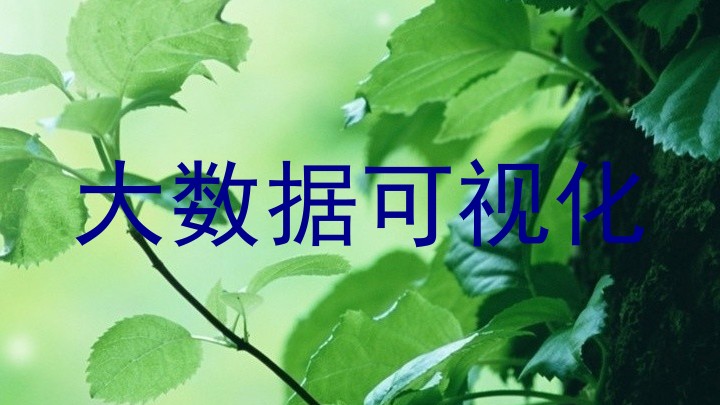大数据可视化