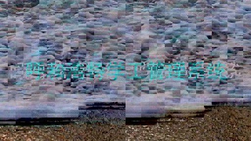 呼和浩特学工管理系统