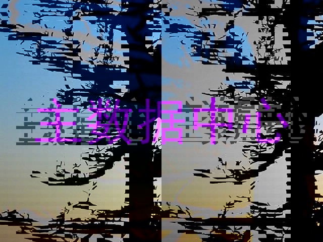 主数据中心