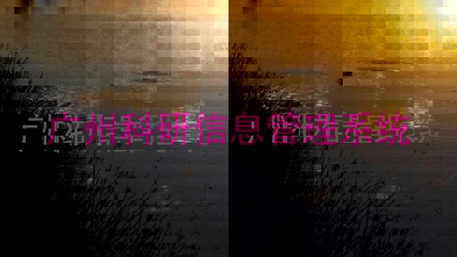 广州科研信息管理系统