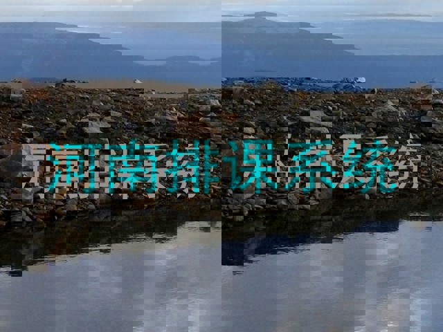 河南排课系统
