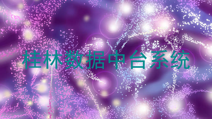 桂林数据中台系统