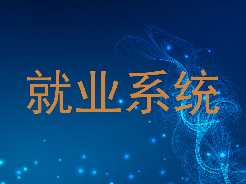 就业系统