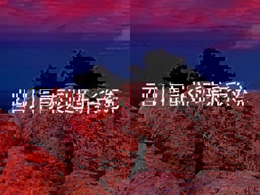 四川高校迎新系统