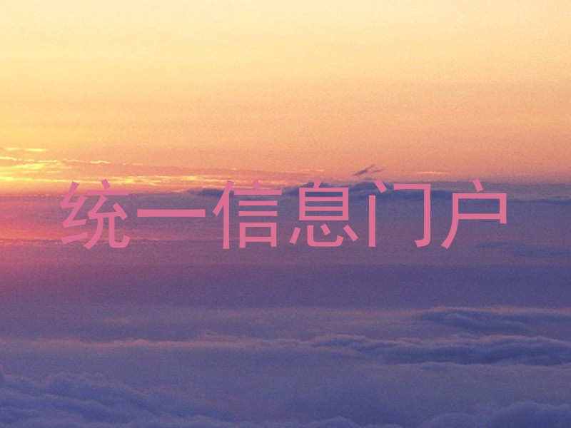 统一信息门户