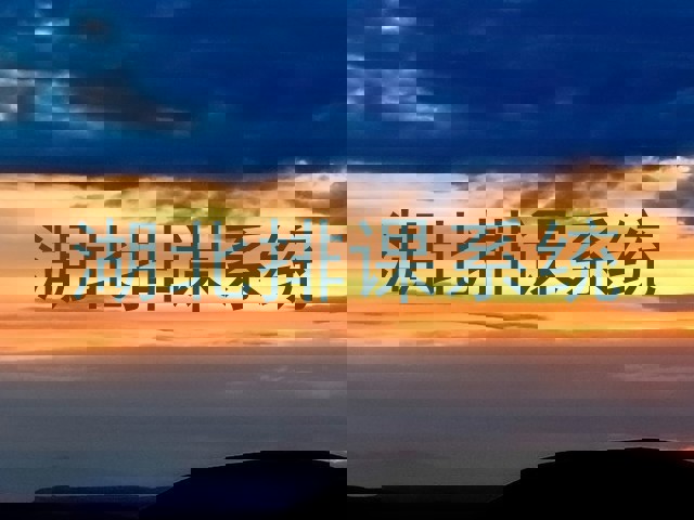 湖北排课系统