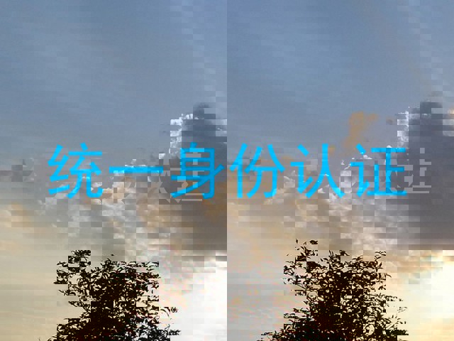 统一身份认证