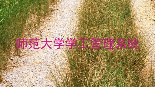 师范大学学工管理系统