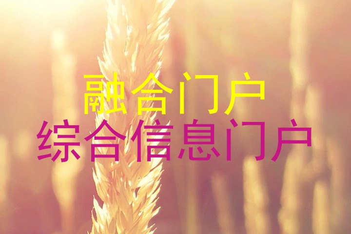 融合门户|综合信息门户