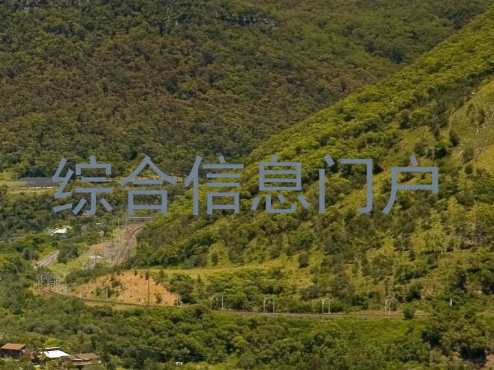 综合信息门户