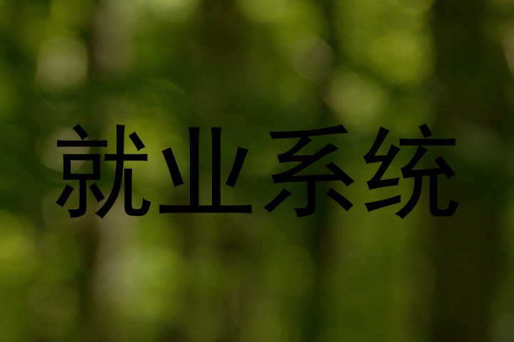 就业系统