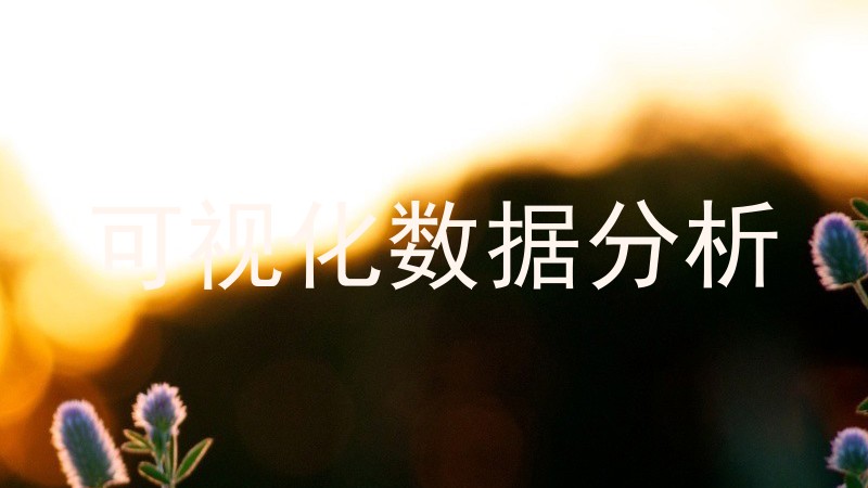 可视化数据分析