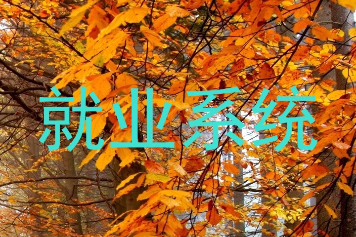 就业系统