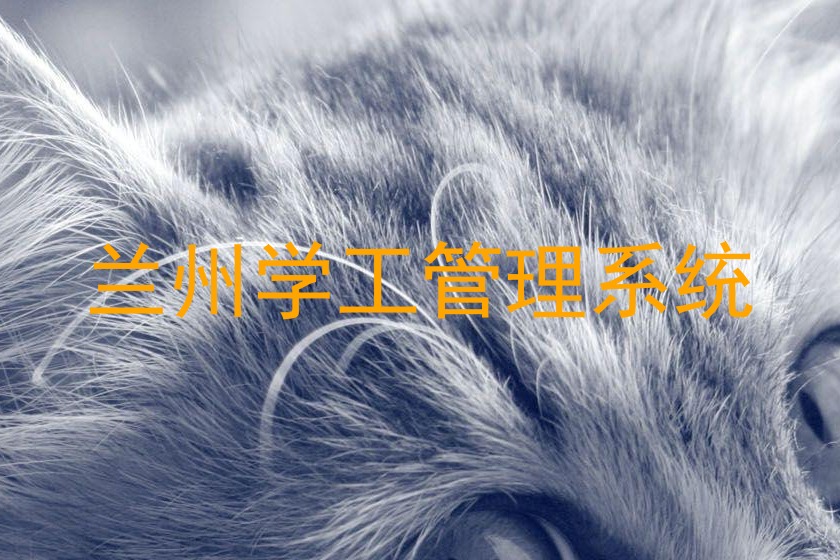 兰州学工管理系统