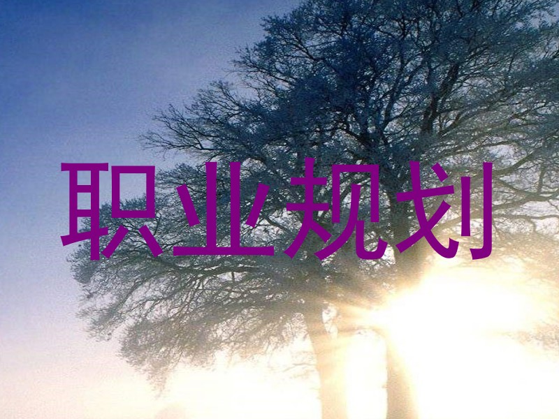 职业规划
