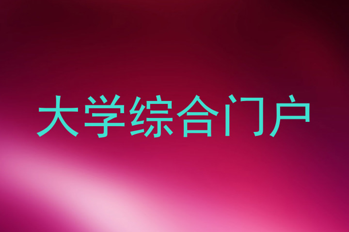 大学综合门户