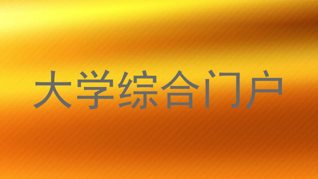 大学综合门户