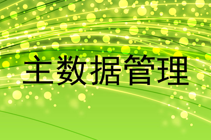 主数据管理