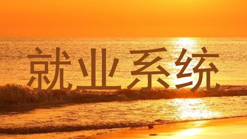 就业系统