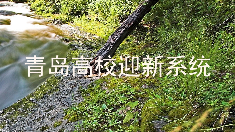 青岛高校迎新系统