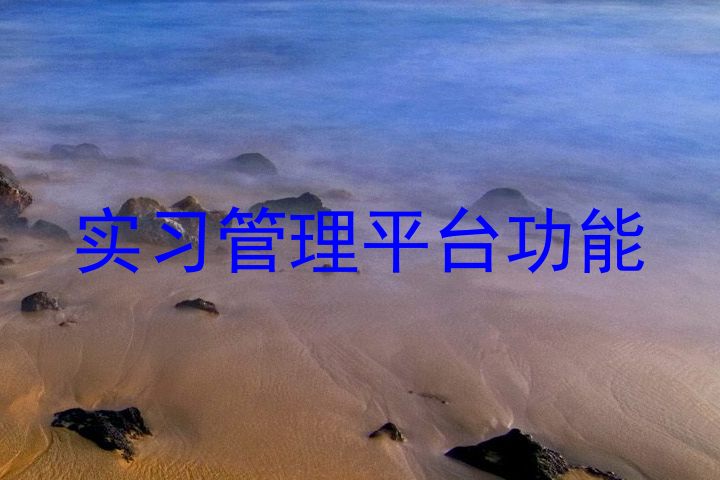 实习管理平台功能