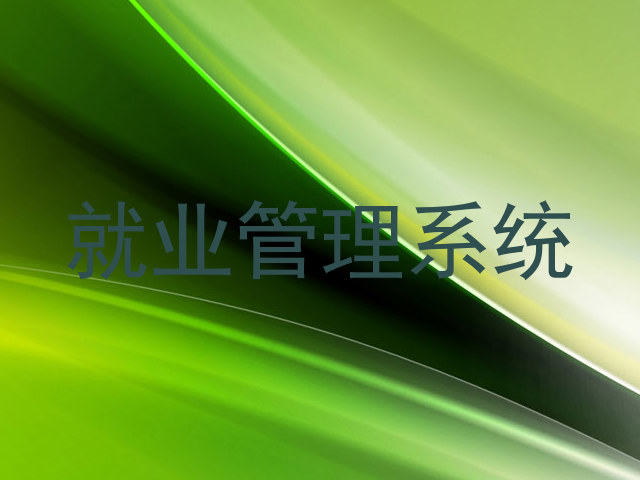 就业管理系统
