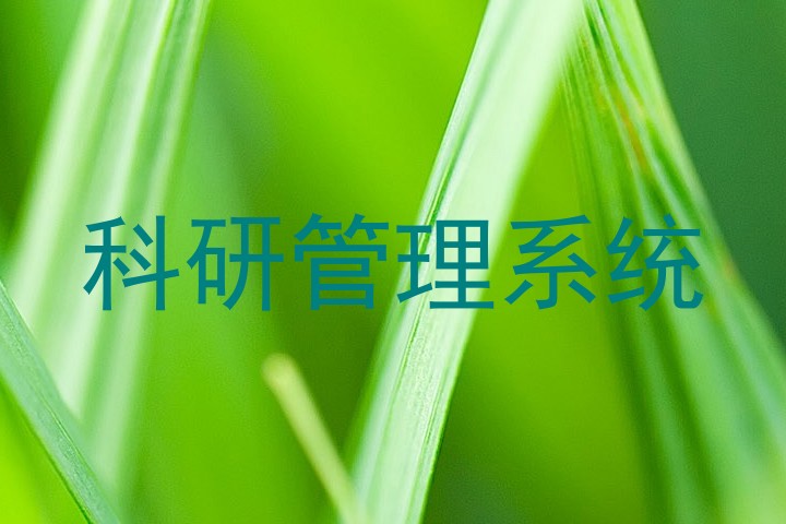科研管理系统