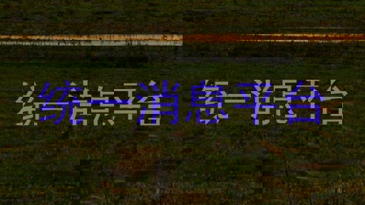 统一消息平台