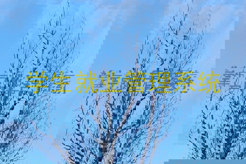 学生就业管理系统
