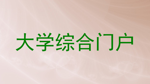 大学综合门户