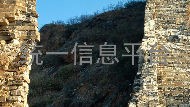 统一信息平台
