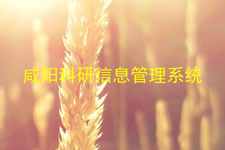 咸阳科研信息管理系统
