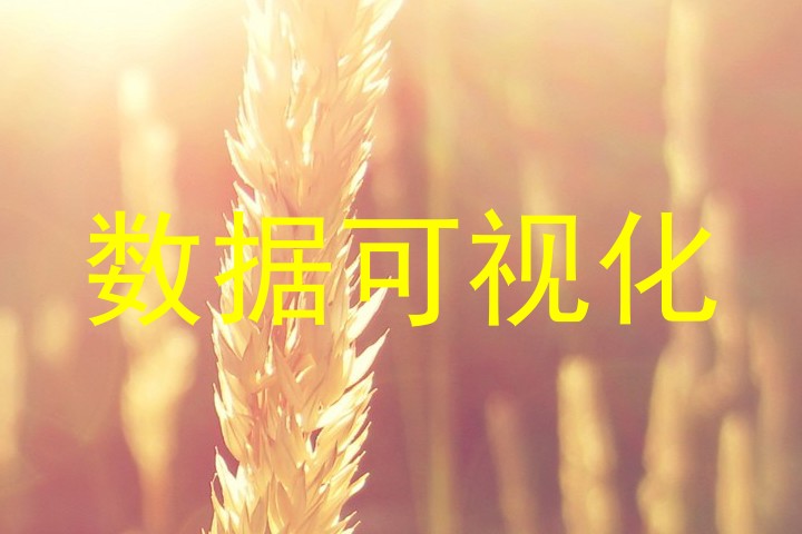数据可视化