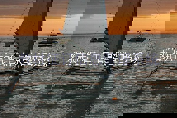 教材征订信息管理系统