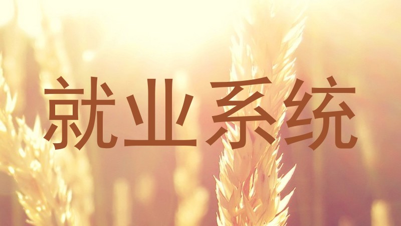 就业系统
