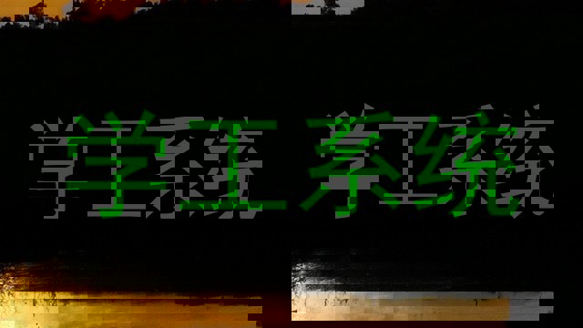 学工系统